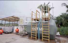 Com investimento milionário, Mast Pet e Mastig aumentarão sua produção neste ano